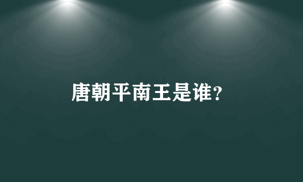 唐朝平南王是谁？