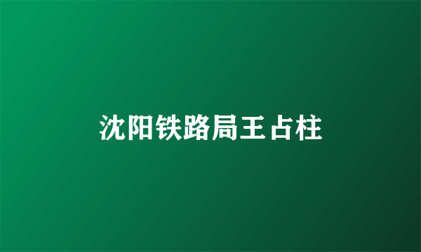沈阳铁路局王占柱