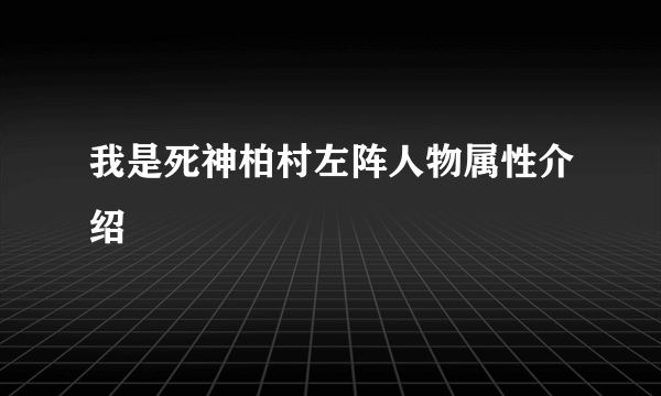 我是死神柏村左阵人物属性介绍