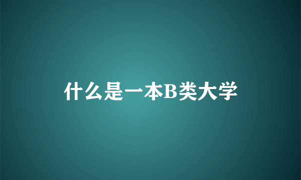 什么是一本B类大学