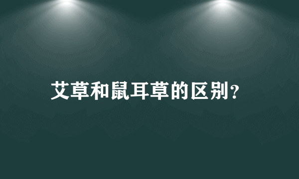艾草和鼠耳草的区别？