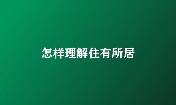 怎样理解住有所居