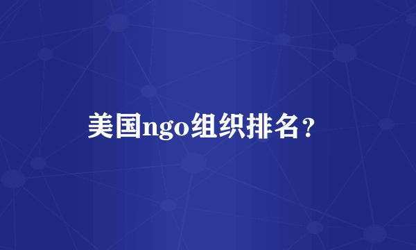 美国ngo组织排名？