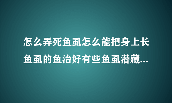 怎么弄死鱼虱怎么能把身上长鱼虱的鱼治好有些鱼虱潜藏的很隐蔽不容易发现