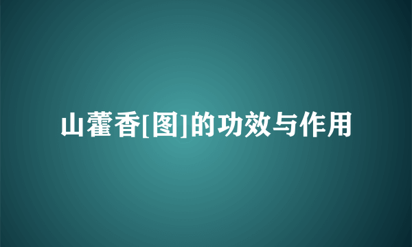 山藿香[图]的功效与作用