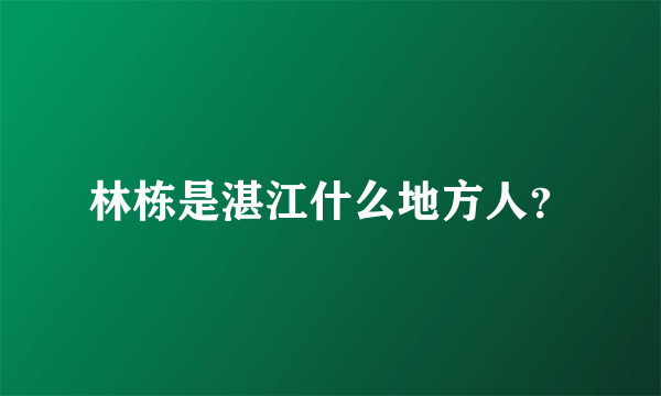 林栋是湛江什么地方人？