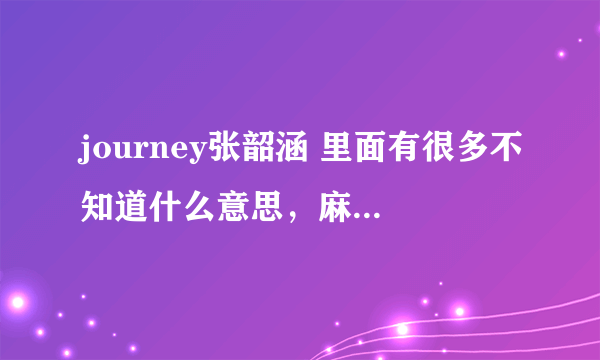 journey张韶涵 里面有很多不知道什么意思，麻烦哪个高手翻译一下谢谢