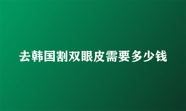 去韩国割双眼皮需要多少钱