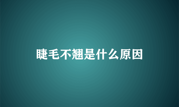 睫毛不翘是什么原因