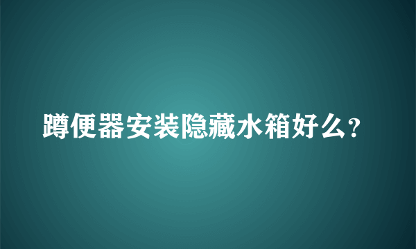 蹲便器安装隐藏水箱好么？