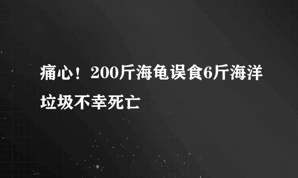 痛心！200斤海龟误食6斤海洋垃圾不幸死亡