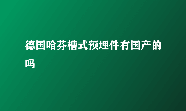 德国哈芬槽式预埋件有国产的吗