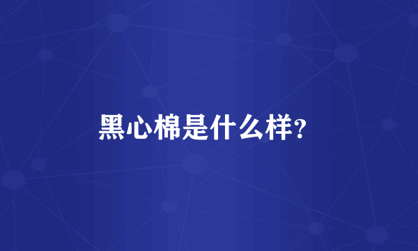 黑心棉是什么样？
