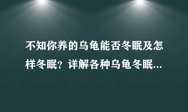 不知你养的乌龟能否冬眠及怎样冬眠？详解各种乌龟冬眠方法优缺点