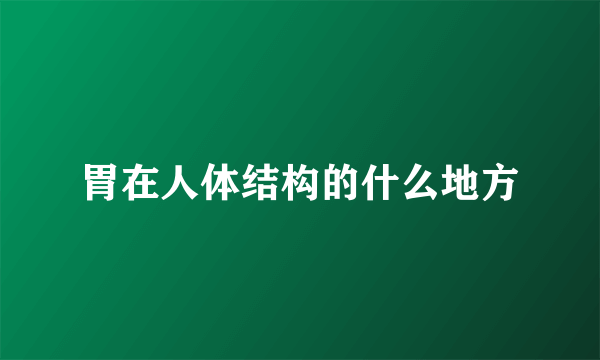 胃在人体结构的什么地方