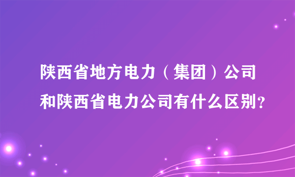 陕西省地方电力（集团）公司和陕西省电力公司有什么区别？