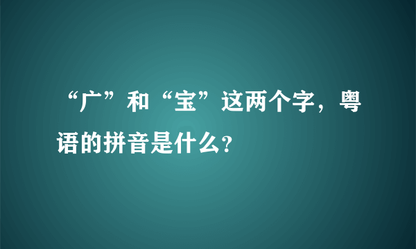 “广”和“宝”这两个字，粤语的拼音是什么？