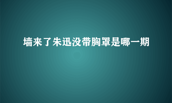 墙来了朱迅没带胸罩是哪一期