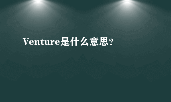 Venture是什么意思？