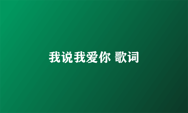 我说我爱你 歌词