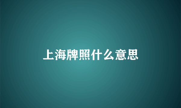 上海牌照什么意思