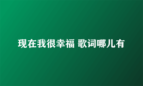 现在我很幸福 歌词哪儿有