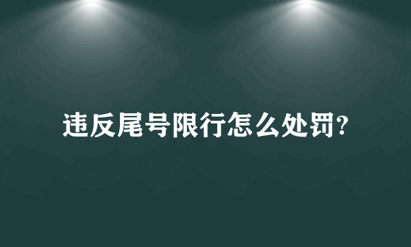 违反尾号限行怎么处罚?