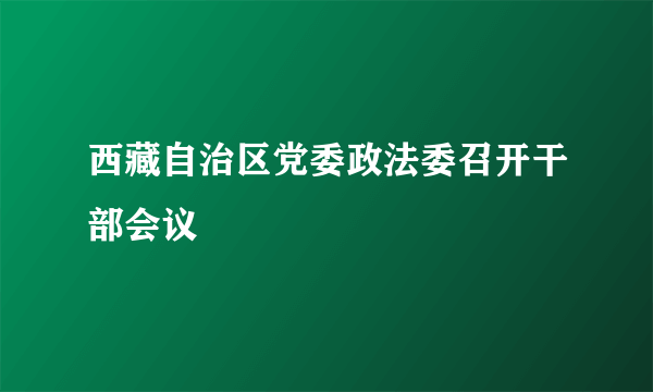 西藏自治区党委政法委召开干部会议