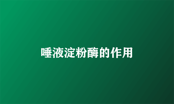 唾液淀粉酶的作用