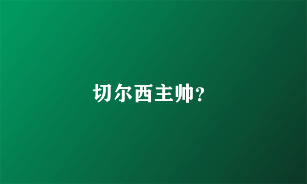 切尔西主帅？