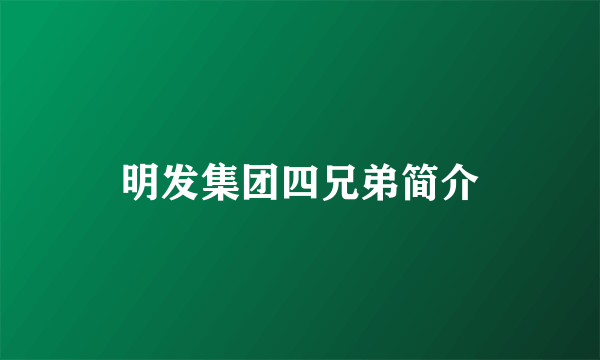 明发集团四兄弟简介