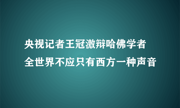 央视记者王冠激辩哈佛学者 全世界不应只有西方一种声音