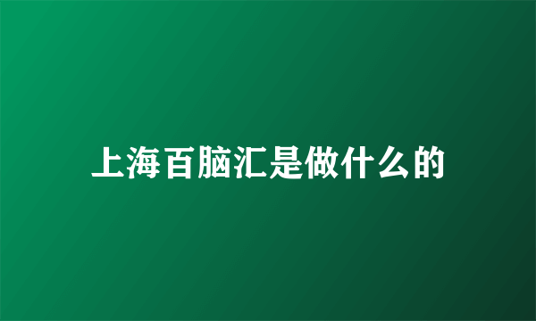 上海百脑汇是做什么的