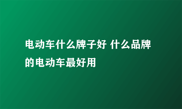 电动车什么牌子好 什么品牌的电动车最好用