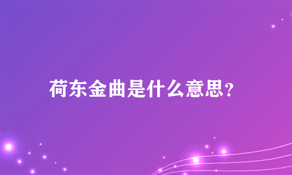 荷东金曲是什么意思？