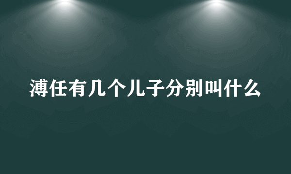 溥任有几个儿子分别叫什么
