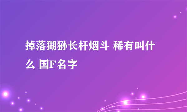 掉落猢狲长杆烟斗 稀有叫什么 国F名字
