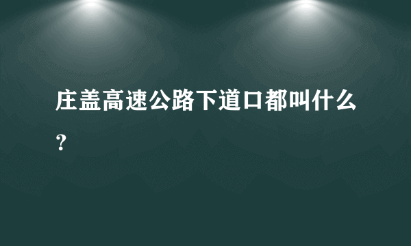 庄盖高速公路下道口都叫什么？