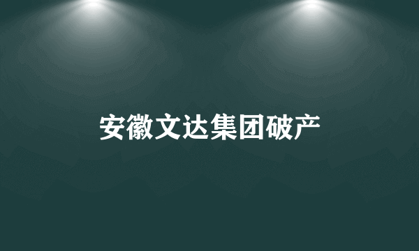 安徽文达集团破产