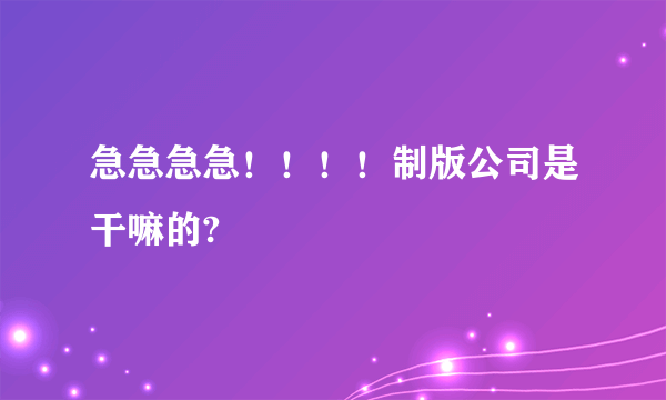 急急急急！！！！制版公司是干嘛的?
