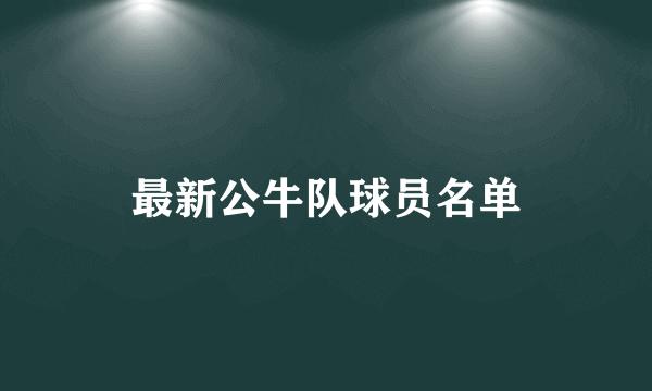 最新公牛队球员名单