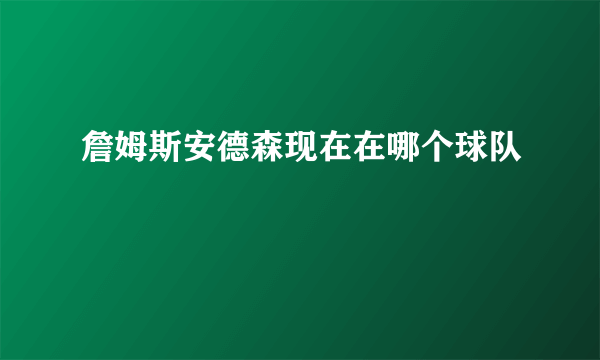 詹姆斯安德森现在在哪个球队