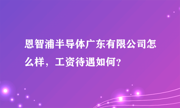 恩智浦半导体广东有限公司怎么样，工资待遇如何？