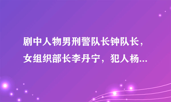 剧中人物男刑警队长钟队长，女组织部长李丹宁，犯人杨涛是什么电视剧？