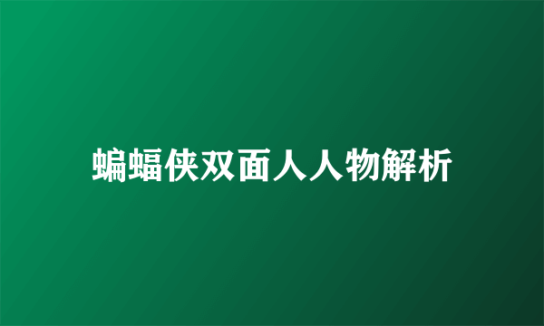 蝙蝠侠双面人人物解析
