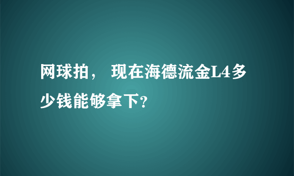 网球拍， 现在海德流金L4多少钱能够拿下？