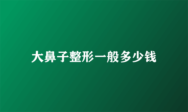 大鼻子整形一般多少钱