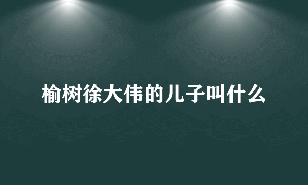 榆树徐大伟的儿子叫什么