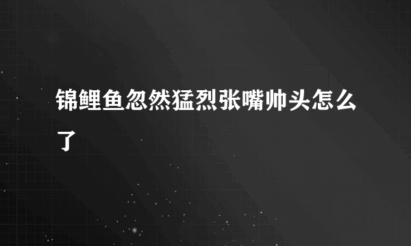 锦鲤鱼忽然猛烈张嘴帅头怎么了