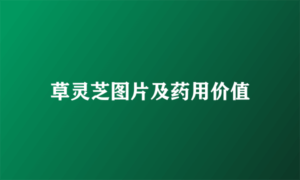 草灵芝图片及药用价值